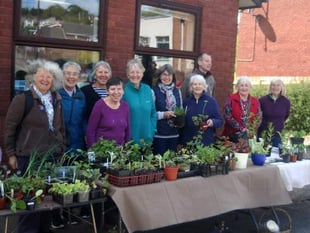 Don’t miss Crediton Garden Club plant sale
