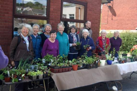 Don’t miss Crediton Garden Club plant sale
