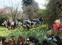 Enjoy a taste of spring at stunning Snowdrop Sunday