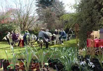 Enjoy a taste of spring at stunning Snowdrop Sunday