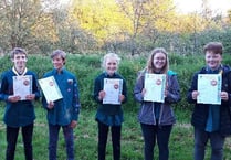 Gold awards for 5 Sandford Scouts