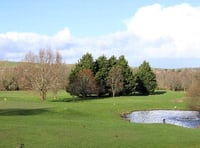 Some great results at Downes Crediton Golf Club
