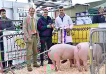Virtual Livestock Show for Devon YFC members
