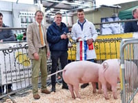 Virtual Livestock Show for Devon YFC members