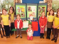Brownies and Rainbows learned about girls and women in Zimbabwe