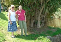Cheriton Fitzpaine WI members enjoyed visit to Powderham
