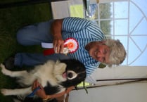 Gordon Setter was Best in Show at Morchard Bishop dog show