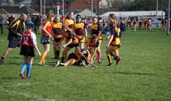 Crediton Girls teams earn plaudits for numbers, attitude and great rugby