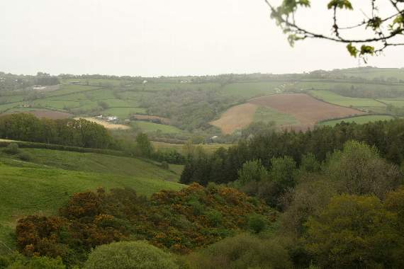 Consultation launched into Whitestone landfill site proposals
