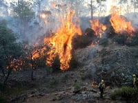 Devon Freemasons give $150,000 for victims of Australian bush fires