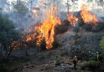 Devon Freemasons give $150,000 for victims of Australian bush fires