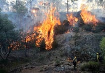 Devon Freemasons give $150,000 for victims of Australian bush fires