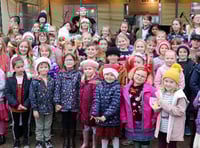 No Crediton Christmas Lights Switch-On public event - but a free tree boost for traders