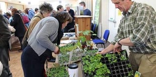 Swap seeds for free at Sustainable Crediton seed share