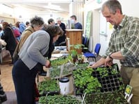 Swap seeds for free at Sustainable Crediton seed share