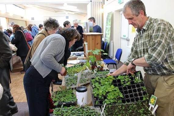 Swap seeds for free at Sustainable Crediton seed share