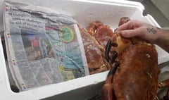 Crabs at the Savoy, the ‘Crediton Courier’, Devon Air Ambulance and Copplestone fundraisers