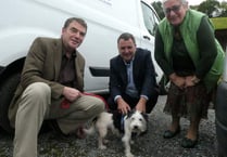 MP supports local RSPCA appeal to find more animals a loving home