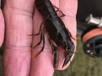 Anglers urged to protect wildlife with new washdown facitlity at lake