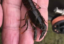 Anglers urged to protect wildlife with new washdown facitlity at lake