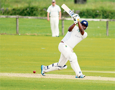 England honours await for two Sandford stars
