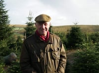 Bishop’s Christmas message finds hope in legend of Crediton’s St Boniface and the Christmas tree