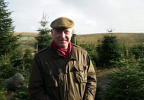 Bishop’s Christmas message finds hope in legend of Crediton’s St Boniface and the Christmas tree