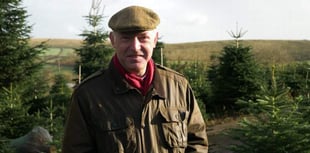 Bishop’s Christmas message finds hope in legend of Crediton’s St Boniface and the Christmas tree