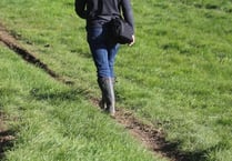 Explore local footpaths and lanes at Sampford Courtenay