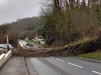 STORM EUNICE LATEST: Power cuts affect hundreds of people across Crediton area