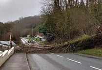 STORM EUNICE LATEST: Power cuts affect hundreds of people across Crediton area