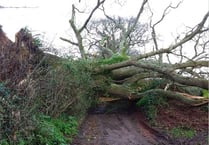 Public advised to avoid 'all but essential travel' due to Storm Eunice on Friday morning