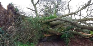 Public advised to avoid 'all but essential travel' due to Storm Eunice on Friday morning