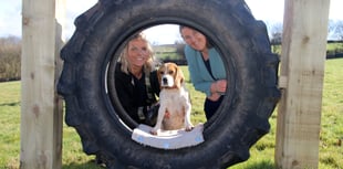 Pooches Paddock - a joy for Crediton and Mid Devon dogs and owners
