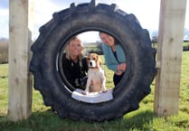 Pooches Paddock - a joy for Crediton and Mid Devon dogs and owners
