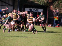 Form book was changed with great win by Crediton over Newent
