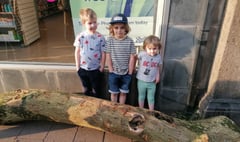 Log fell from lorry in Crediton High Street

