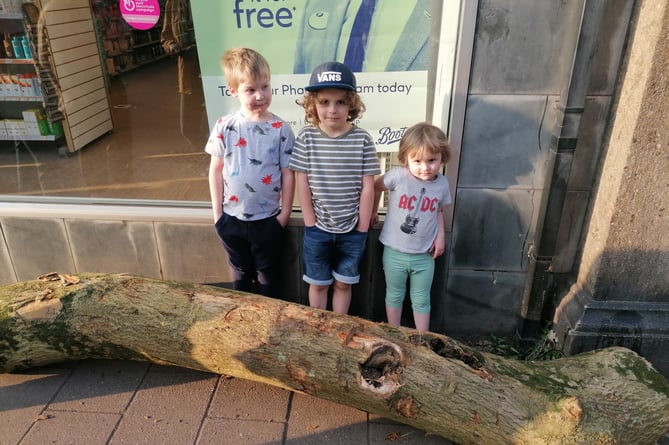 The log outside Boots in Crediton High Street. Photo: Jon Elworthy
