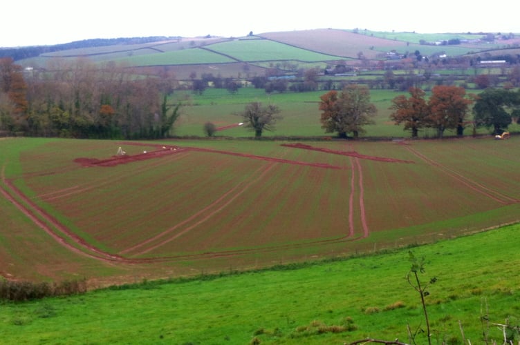 A view of the Pedlarspool/Creedy Bridge site. Photo: submitted