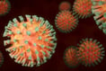 Cases of flu, norovirus and Covid on the increase in Devon
