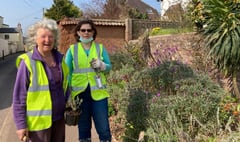Help wanted at Pollinator Group working party at Belle Parade