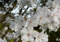 Leadership, Love and Easter, by District Councillor Elizabeth Lloyd
