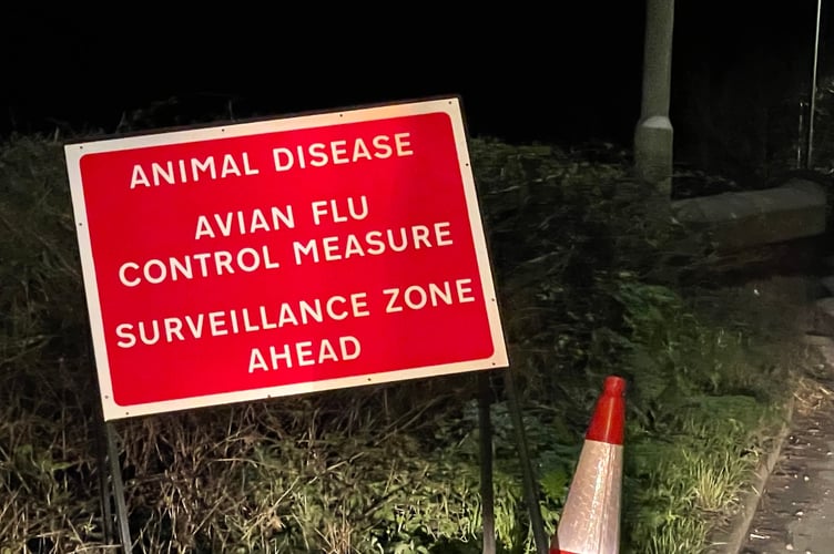 One of the warning signs on the A377 near Newton St Cyres. AQ 5807