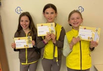 Gold Awards for 5 Crediton Brownies
