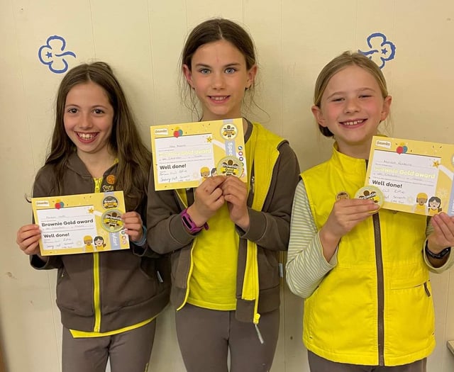 Gold Awards for 5 Crediton Brownies
