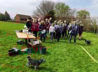 Bow Village Hall field planted with 9 trees and 1,000 bulbs
