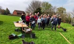 Bow Village Hall field planted with 9 trees and 1,000 bulbs