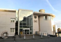 Van driver admits killing nurse in Witheridge crash
