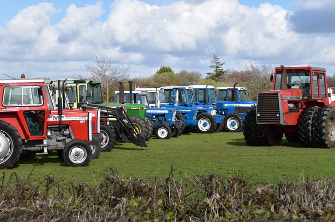 Some of the tractors being offered for sale at Winkleigh.
