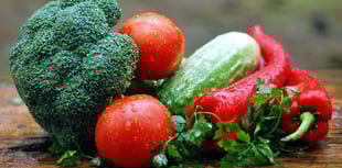 Adjusting our dietary habits is a ‘win win’ choice
